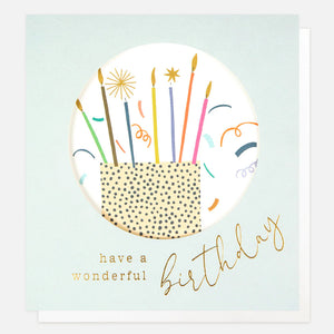 Have a Wonderful Birthday Cake with Candles Card