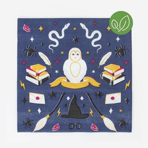Wizard and Witches Napkins