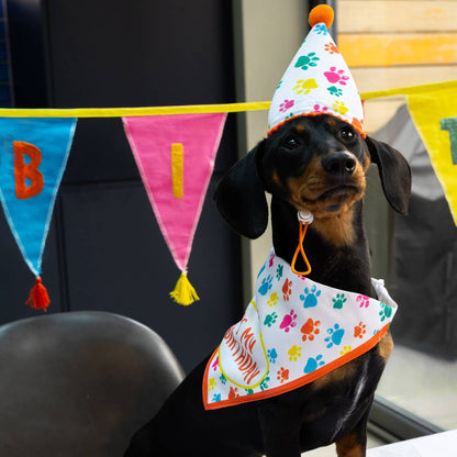 Dog Party Hat and Birthday Bandana