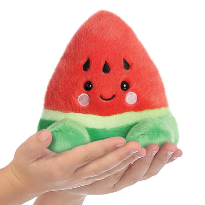Palm Pals Sandy Watermelon Soft Toy 13cm