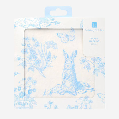 Playful Pierre Blue & White Paper Napkins