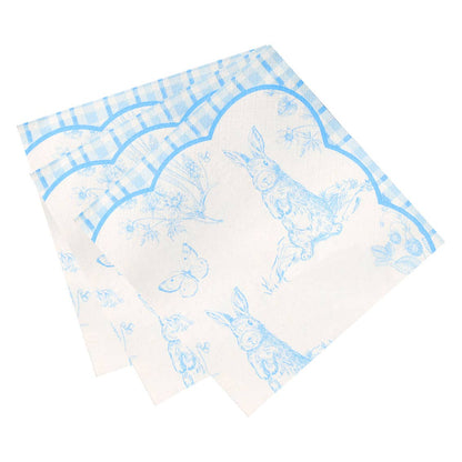Playful Pierre Blue & White Paper Napkins
