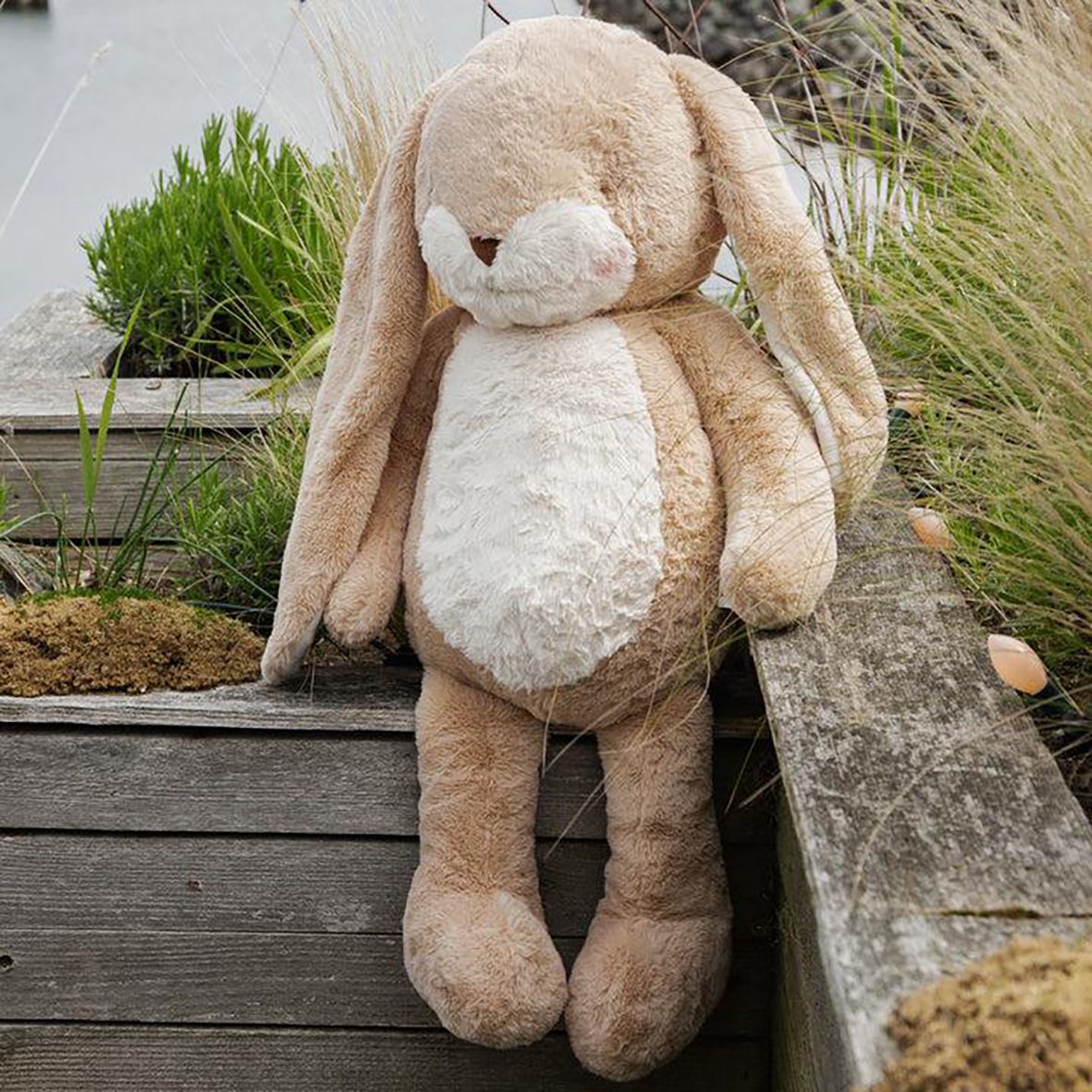Bigger Nibble Bunny Almond Joy 66cm