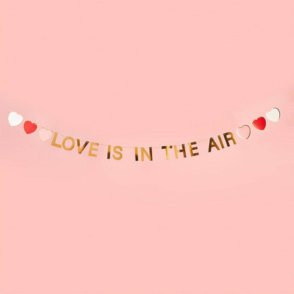 Gold 'Love is in the Air' Banner 2m