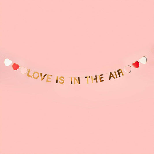 Gold 'Love is in the Air' Banner 2m