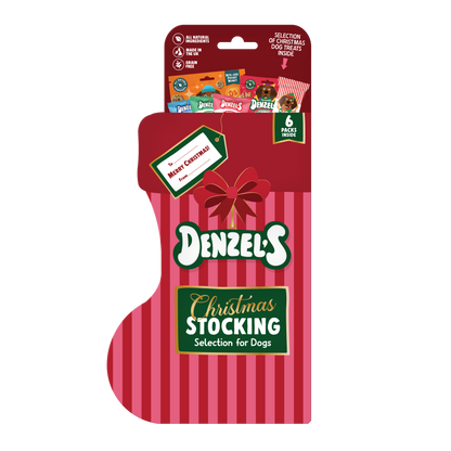Christmas Stocking of Treats for Dogs