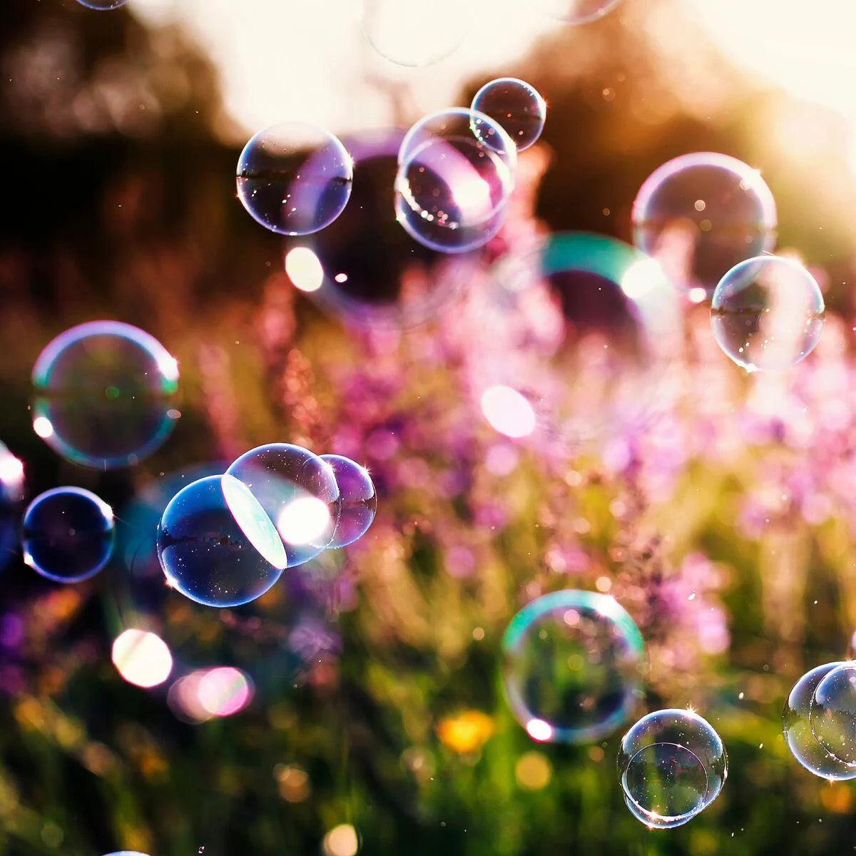 Legami Bubbles -Panda/Dino/Unicorn/Space