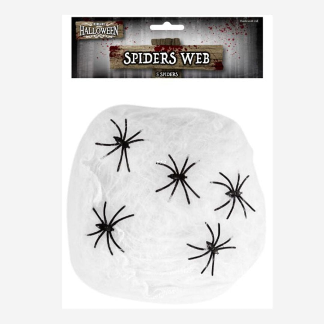 Spiderweb with 5 Spiders