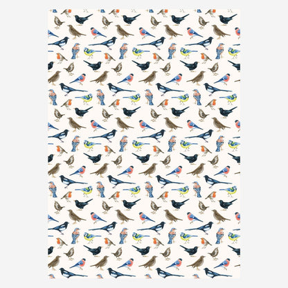 Birdsong Cream Birds 3M Wrapping Paper Roll
