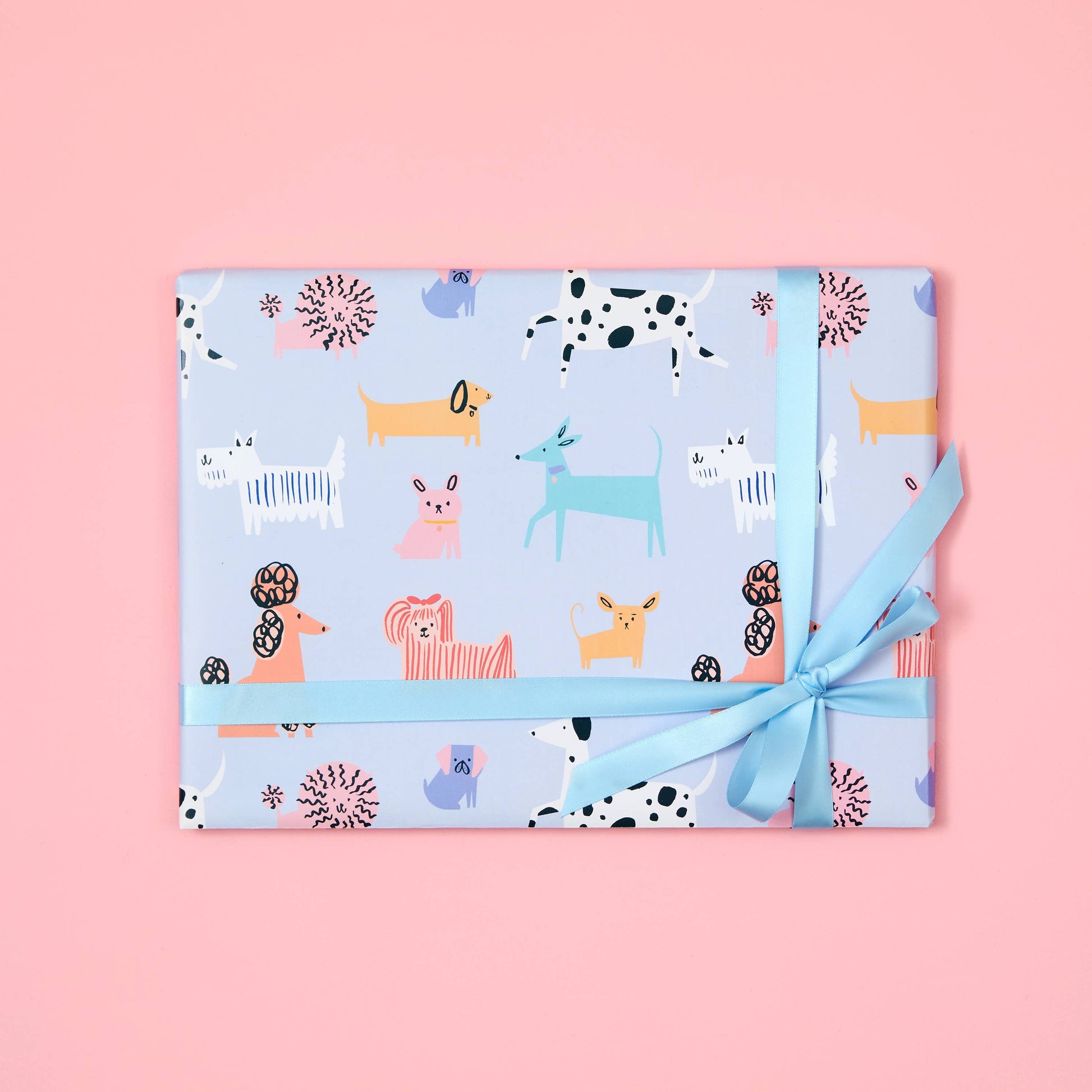 Gift wrapped in blue paper with animal pattern on a pink background