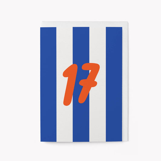 17th Birthday - Greeting Card