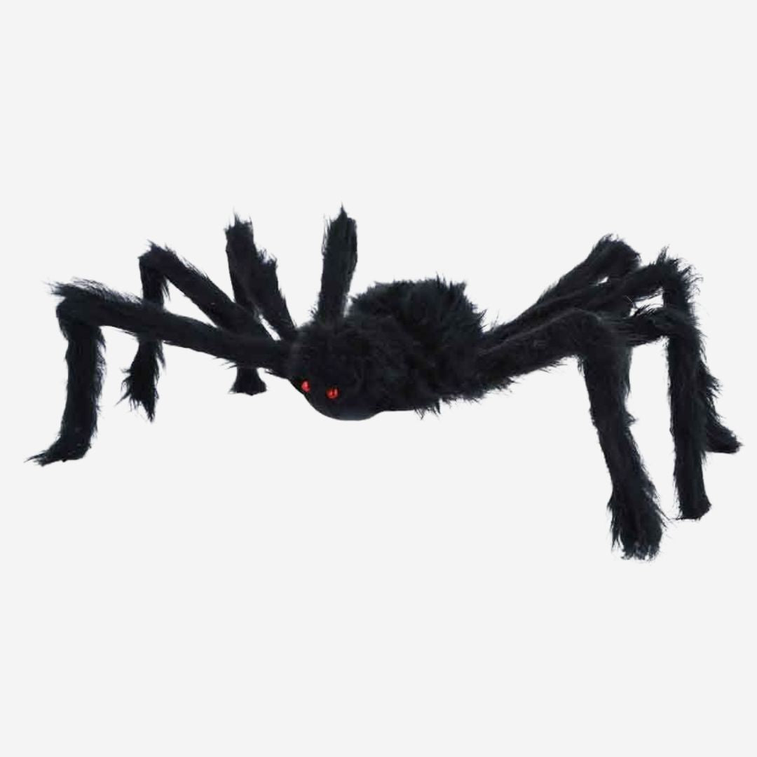 Medium Furry Spider with Red Eyes