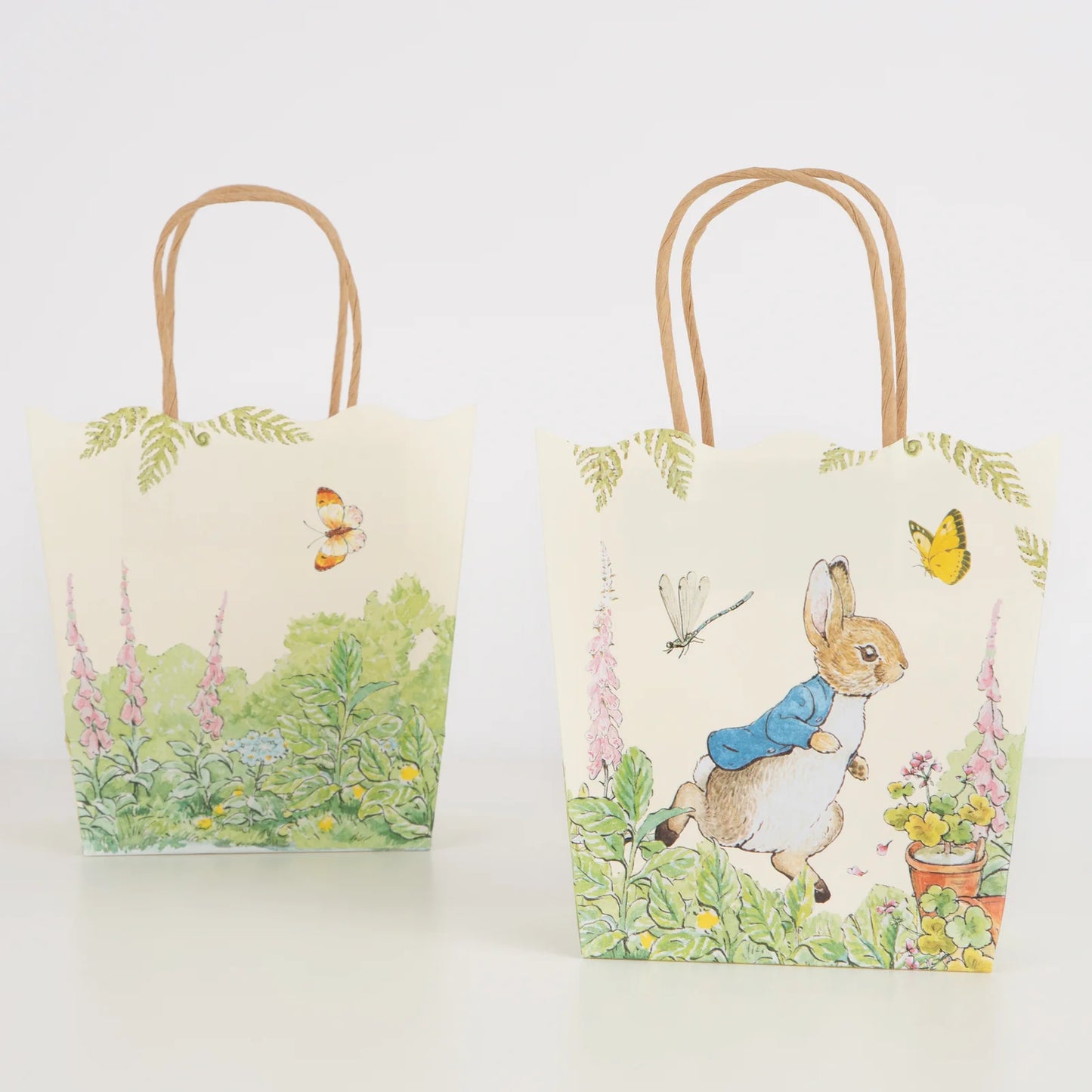 Peter Rabbit™ In The Garden Party Bags