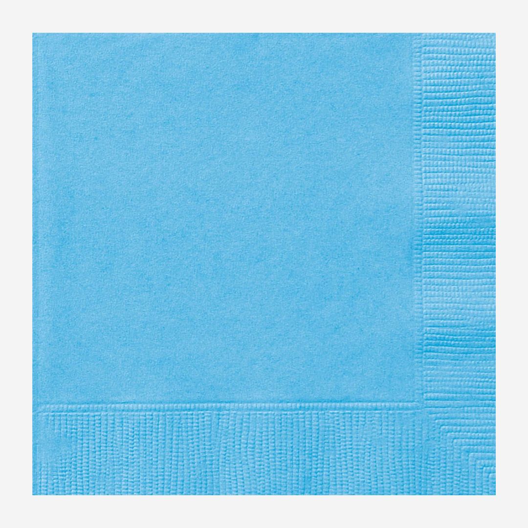 Powder Blue Napkins