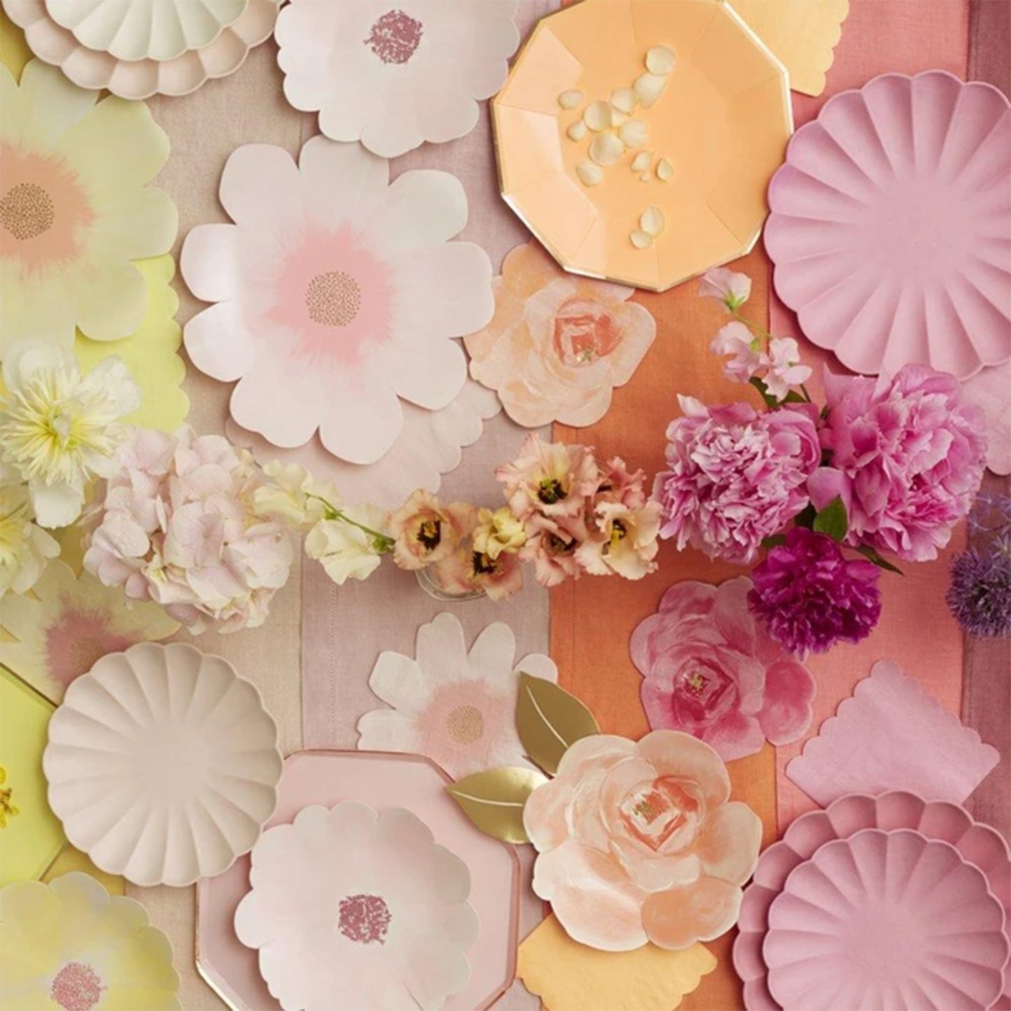 Large Multicolour Compostable Plates by Meri Meri