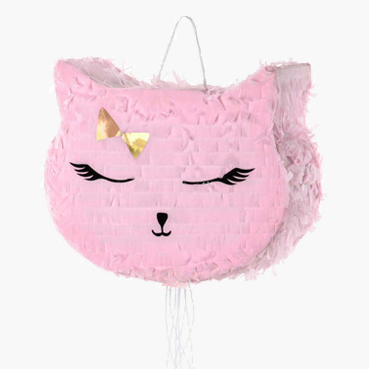 Cat Piñata