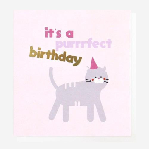 Cat It's A Purrrfect Birthday Card
