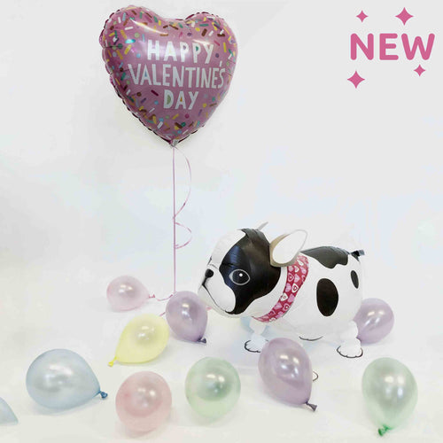 Valentines Inflated Walking Pet French Bulldog Balloon in a Box