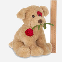 Conner Cuddlesmore Puppy Dog Soft Toy