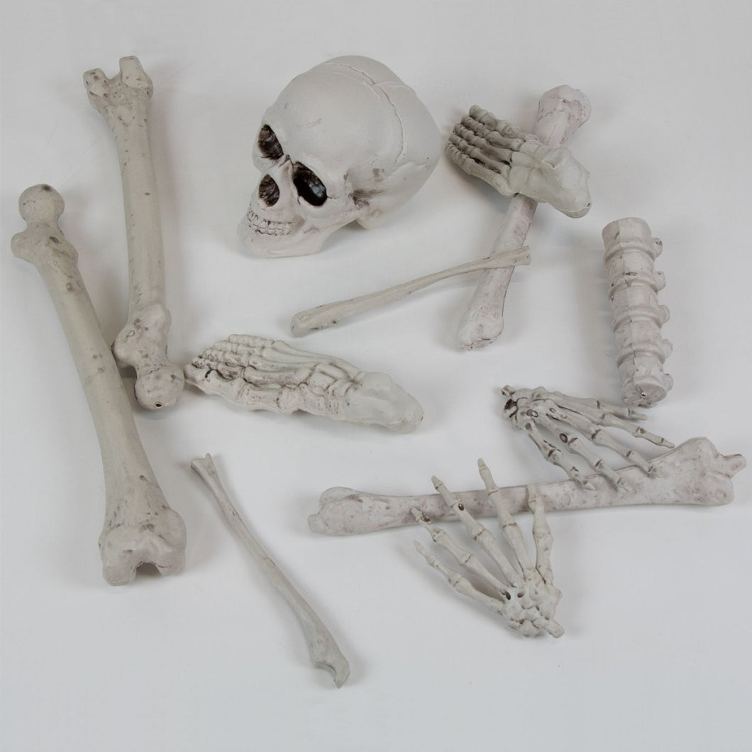 Bag of Skeleton Bones