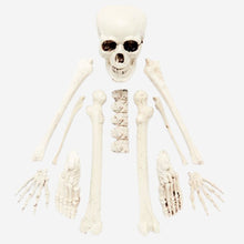 Bag of Skeleton Bones