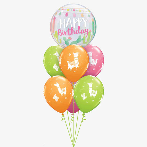 Birthday Llamas & Cactus Inlfated Balloon Bouquet