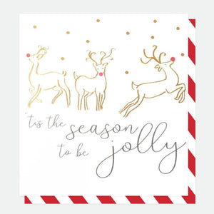 Dotty Deer & Wreath Mixed Charity Christmas Cards Pack of 8