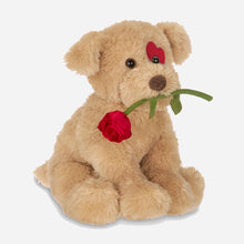 Conner Cuddlesmore Puppy Dog Soft Toy
